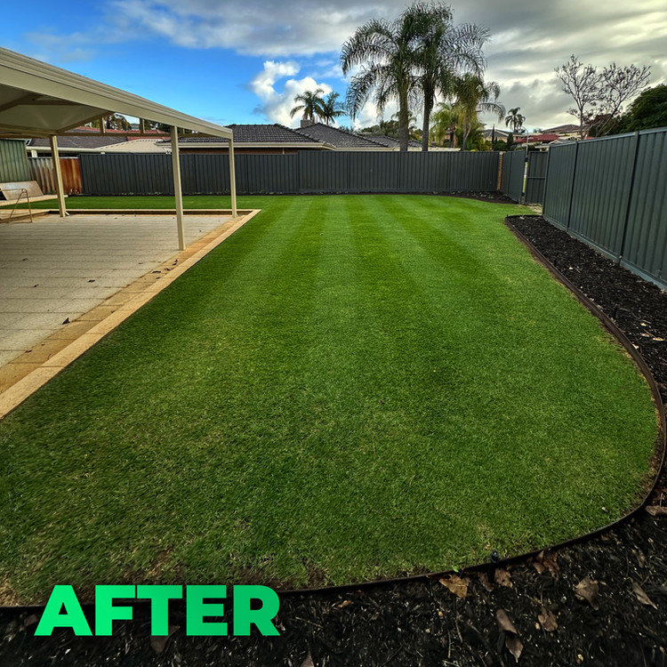 Winter Lawn Care in Perth: Keep Your Lawn Alive Until Spring
