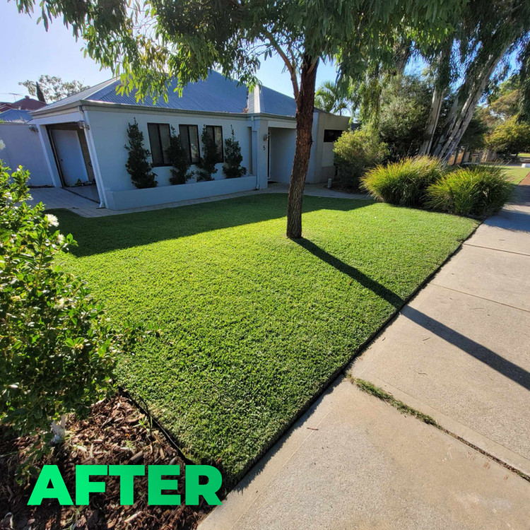 When to Book a Lawn Renovation in Perth: Why Winter Wins