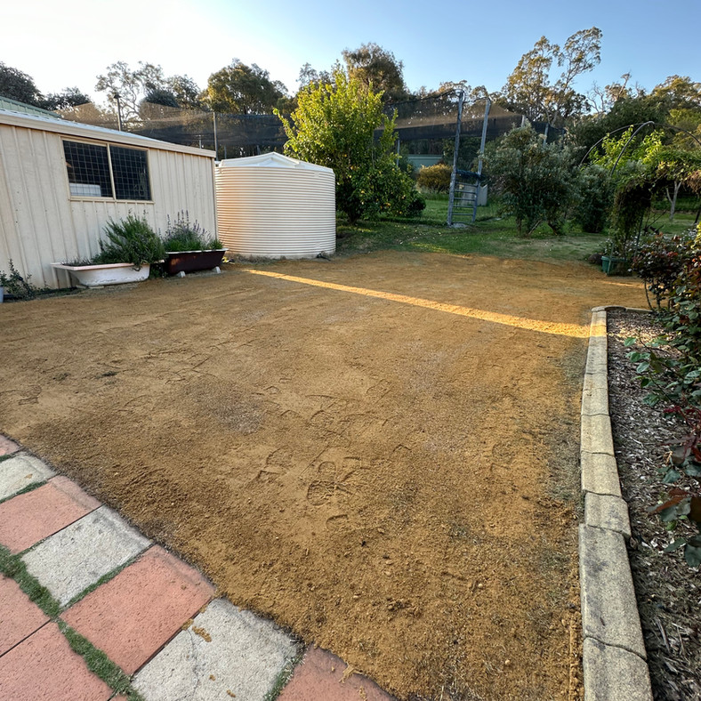 Freshly spread soil blend levelled across a backyard lawn area