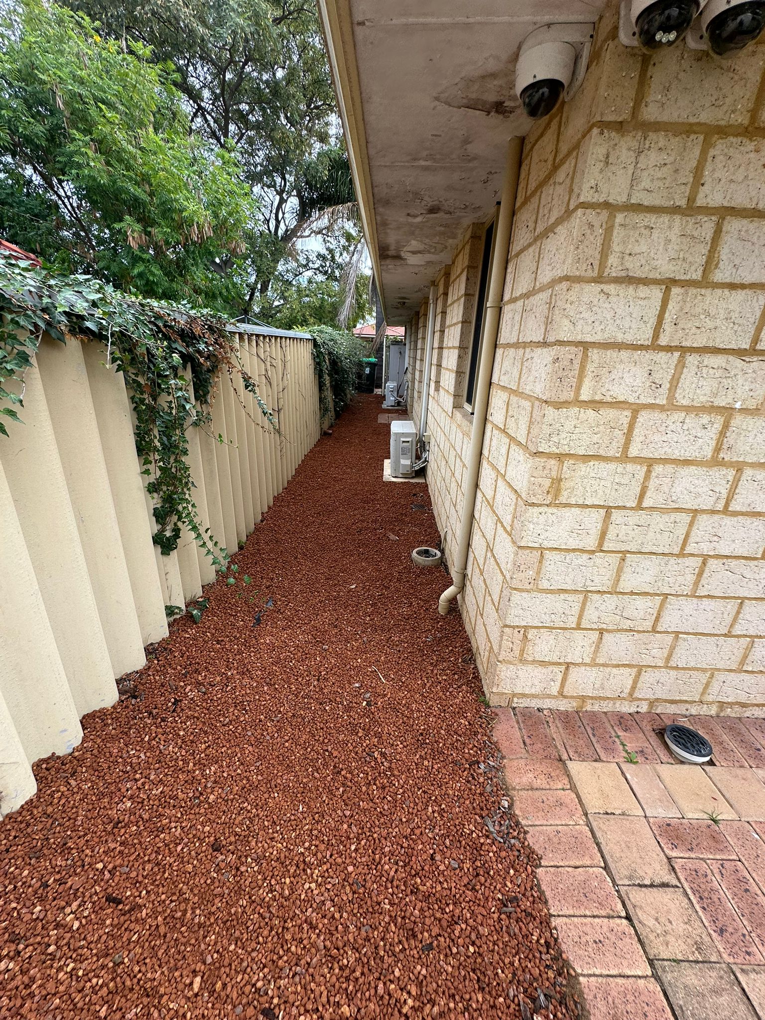 Decorative gravel side yard beside a house, with a short paver path and a fence covered in climbing plants